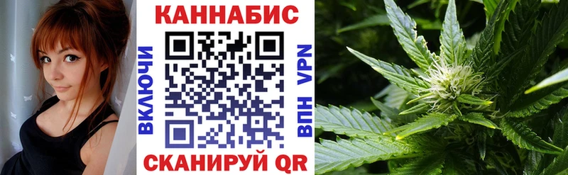 хочу   Лабытнанги  Бошки марихуана сатива 